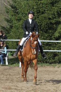 Bild 1241 - WBO-Turnier am 9.4.11